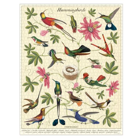 Cavallini Puzzle Hummingbirds 1000-teilig 