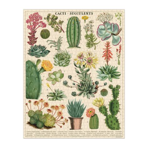 Cavallini Puzzle Cacti & Succulents 1000-teilig 