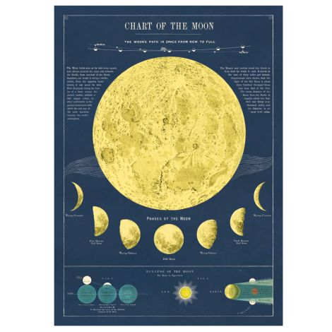 Cavallini Poster Moon Chart 