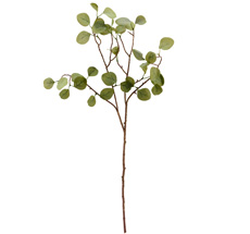 House Doctor Deko-Pflanze Eucalyptus Natur