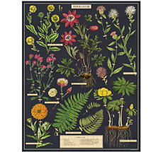 Cavallini Puzzle Herbarium 1000-teilig