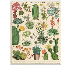 Cavallini Puzzle Cacti & Succulents 1000-teilig