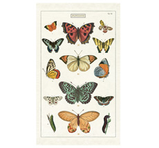 Cavallini Geschirrtuch Butterflies •