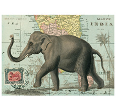 Cavallini Poster Elephant •