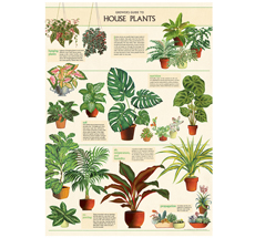 Cavallini Poster House Plants