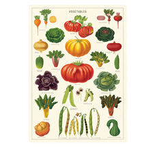 Cavallini Poster Vegetable Garden •