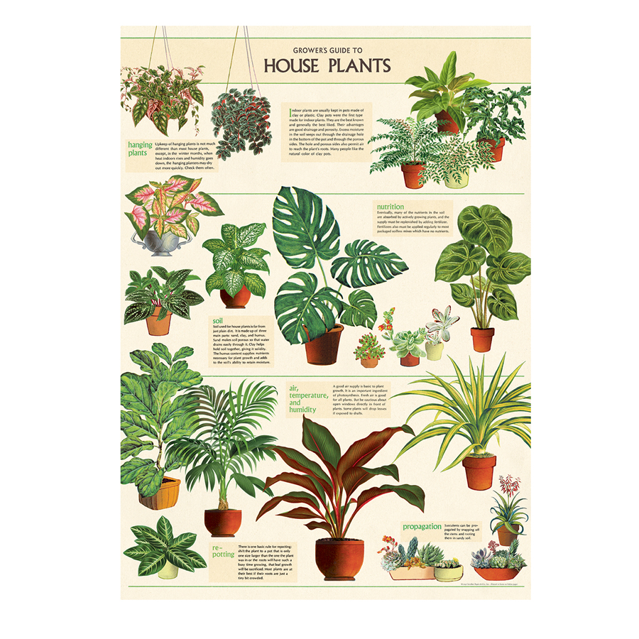 Cavallini Poster House Plants